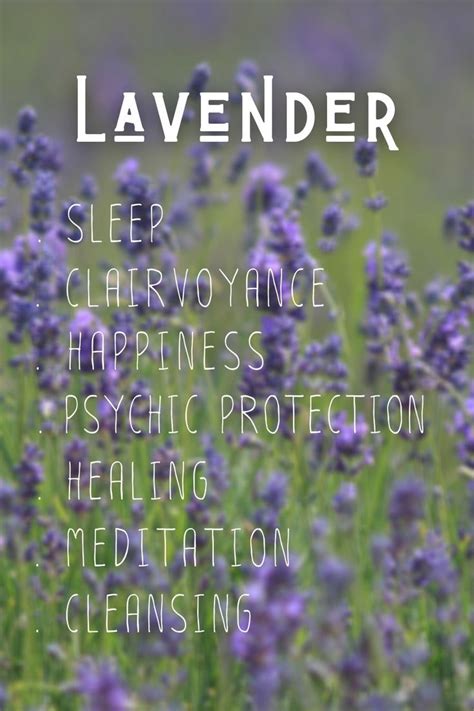Using lavender in candle magic for intention setting and manifestation